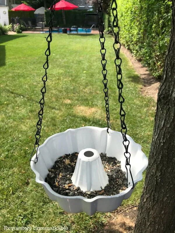 Bundt Pan Bird Feeder Bundt pan bird feeder hanging in backyard