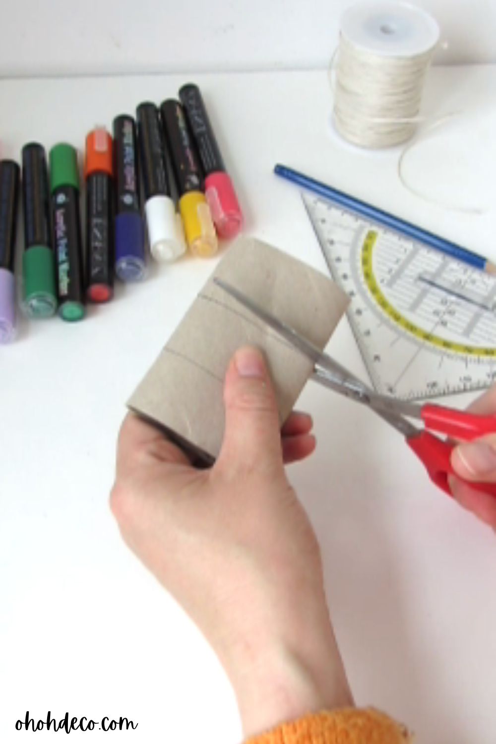 make a bird craft with toilet paper roll