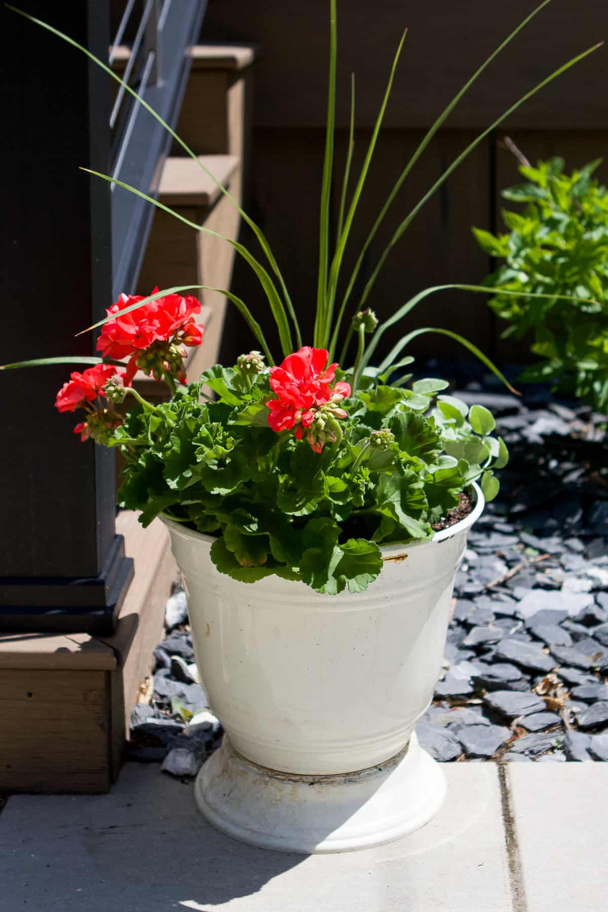 full sun flower pot