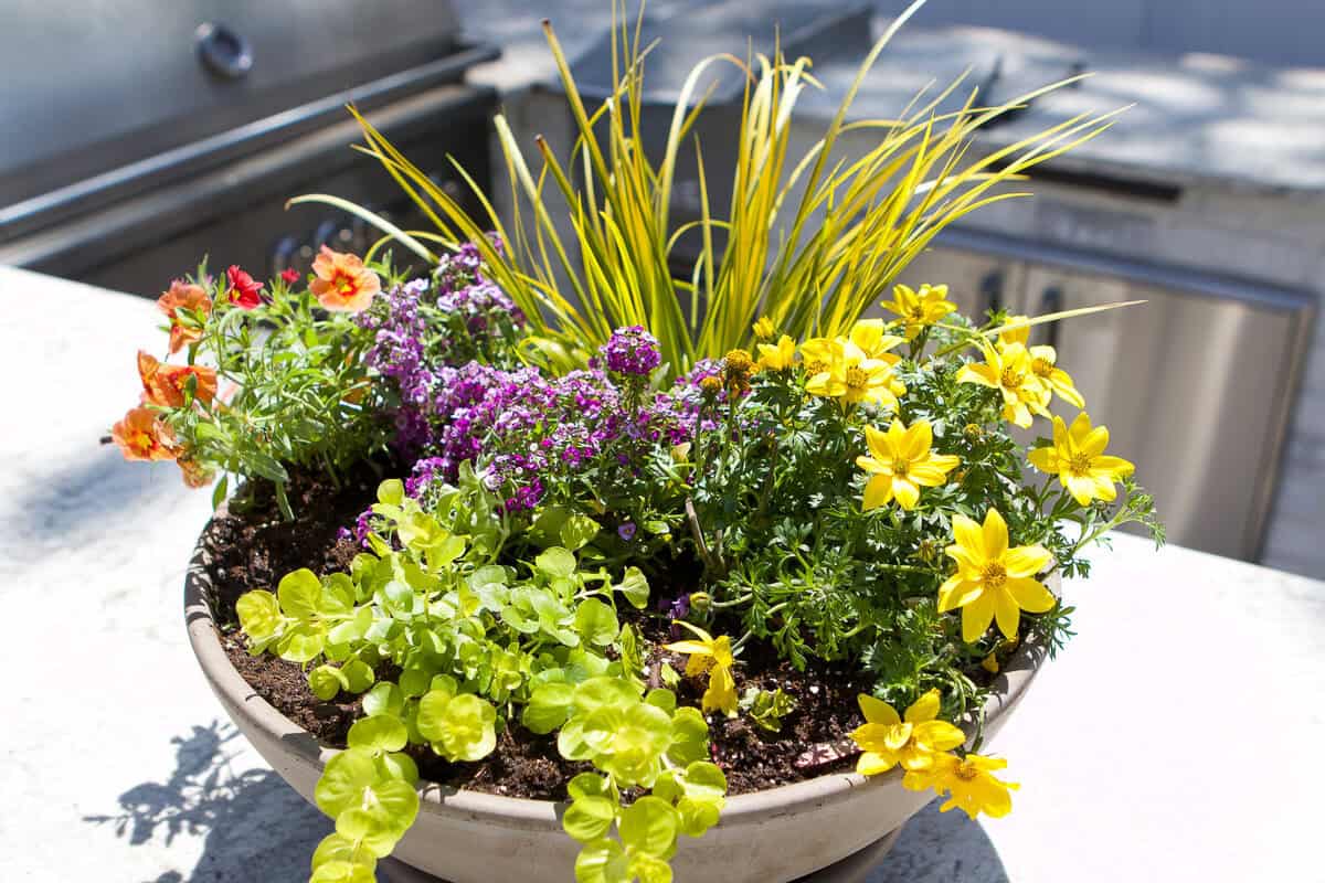 Tabletop bowl full of flowers and plants