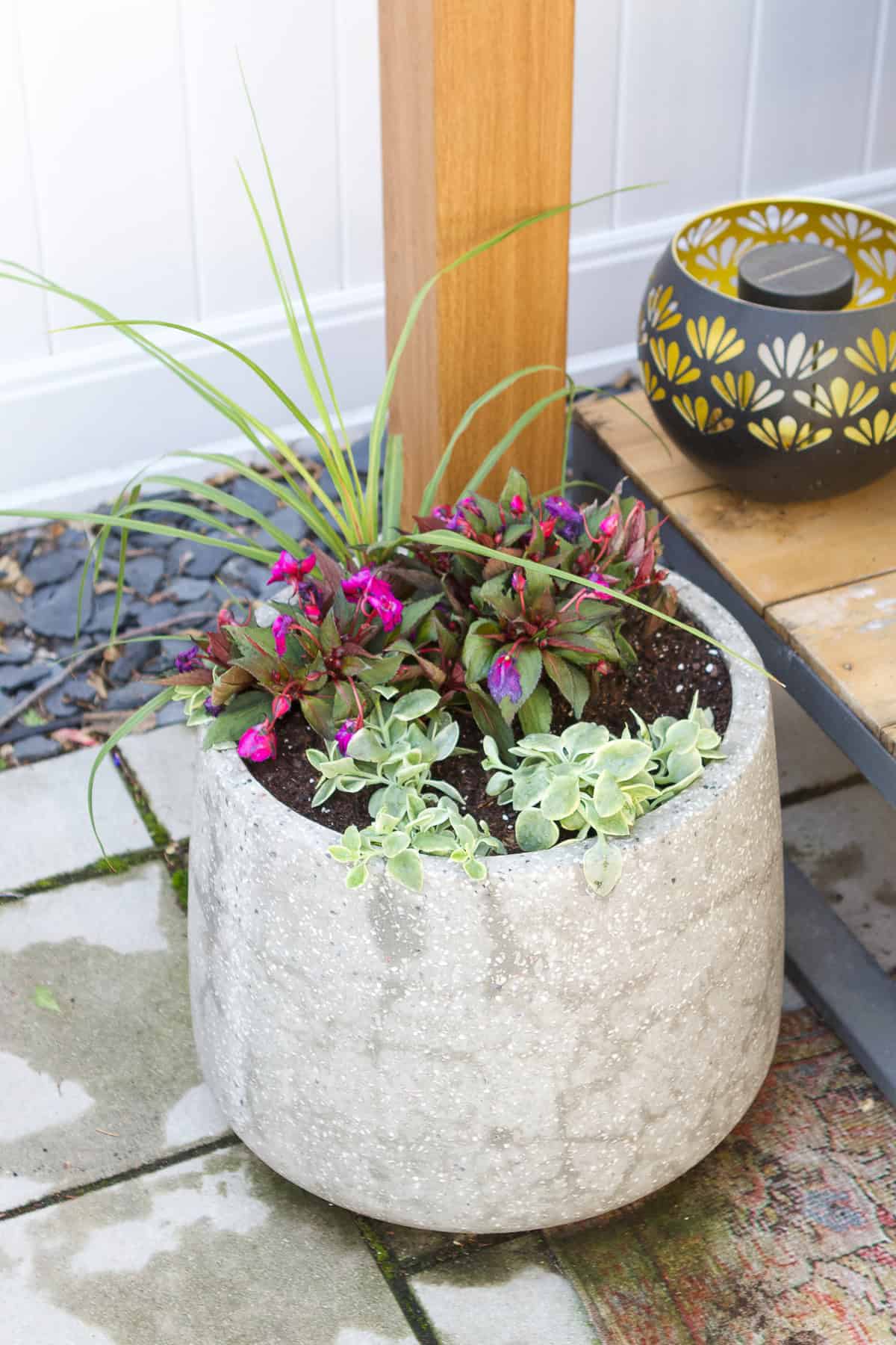 Excited to see how our plants grow throughout the season