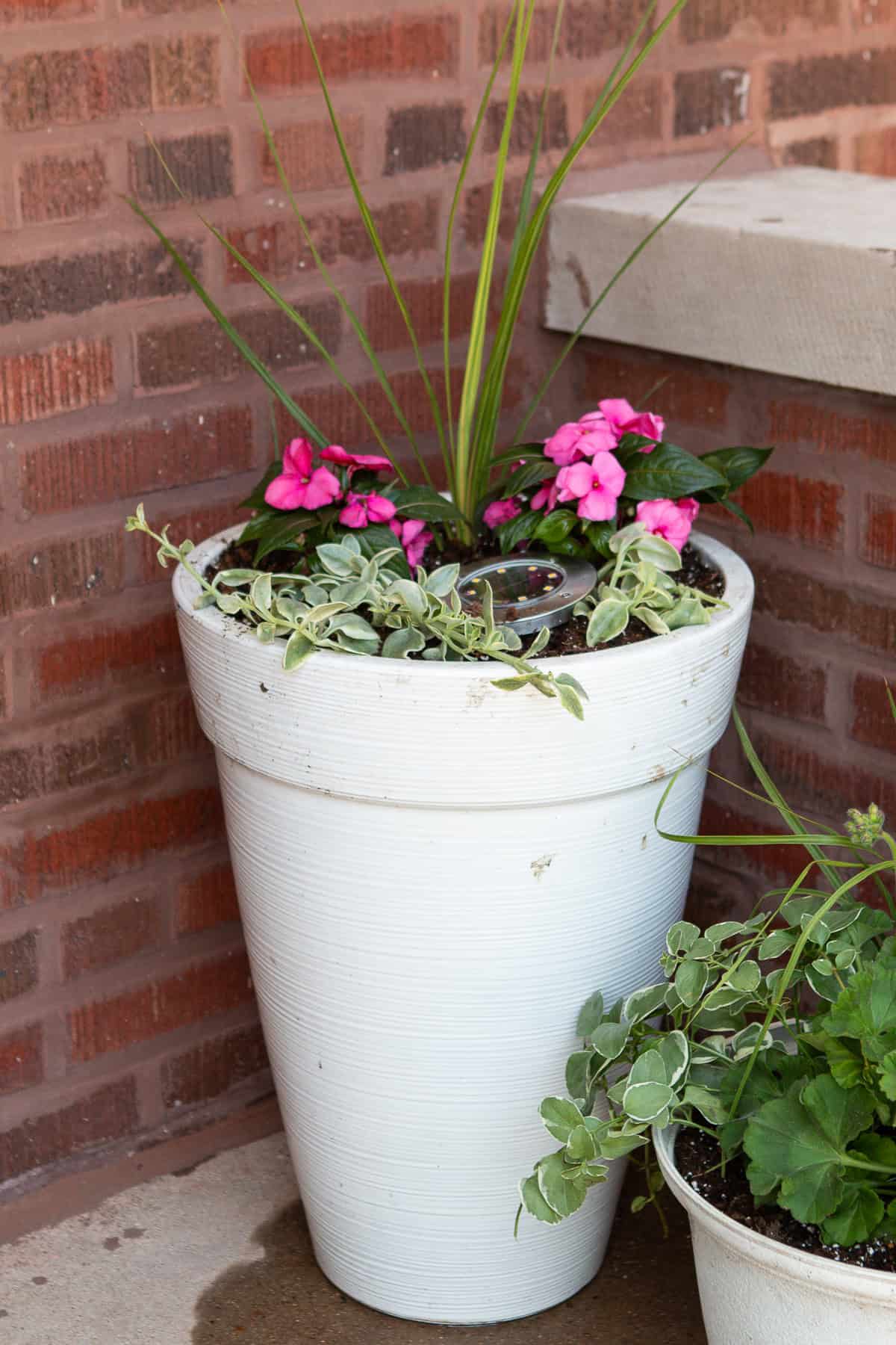 My front porch pot