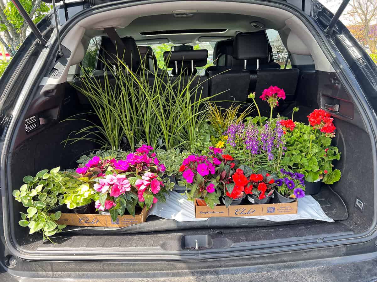 my car full of flowers